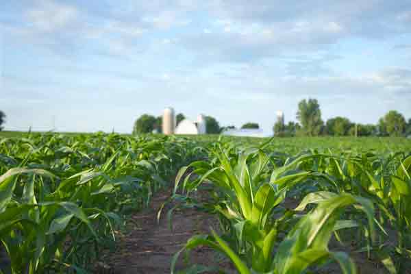 Agricultural Insurance from Hometown Insurance Group